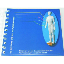 Akupunkturbuch